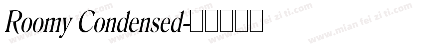 Roomy Condensed字体转换